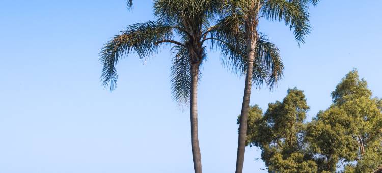 玛丽堤马林湾豪华度假村(Maritim Marina Bay Luxury Resort)图片