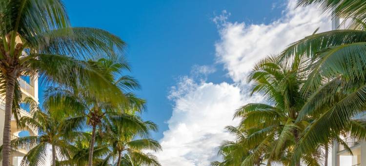 珠宝大蒙特哥湾水疗度假村-全包度假村(Jewel Grande Montego Bay Resort & Spa)图片