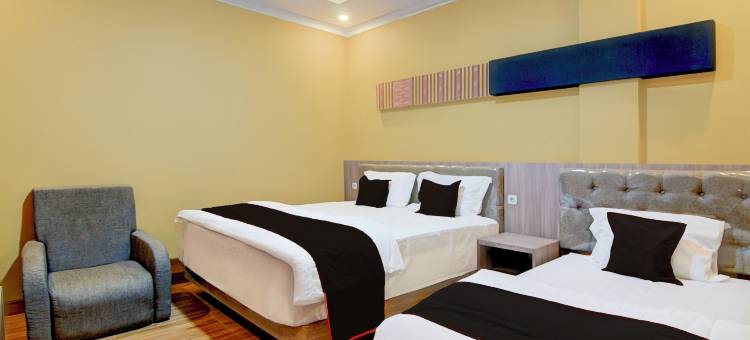 Collection O 94762 星光(Collection O 94762 Starlight)图片