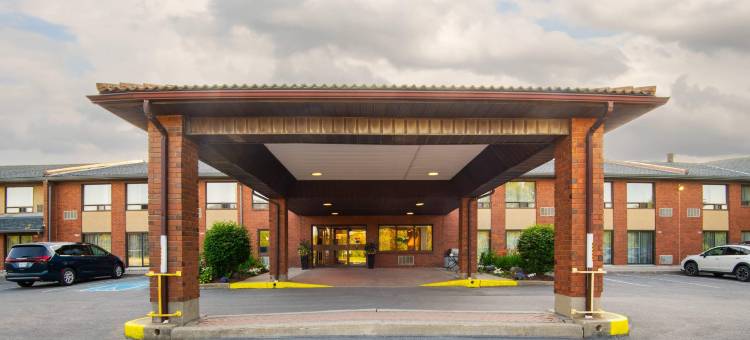 401高速路舒适酒店(Comfort Inn Hwy 401)图片