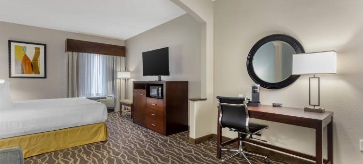 格林维尔贝斯特韦斯特优质套房酒店(Best Western Plus Suites-Greenville)图片