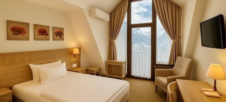 巴伐利亚琥珀酒店(AMBER HOTEL BAVARIA Bad Reichenhall)图片