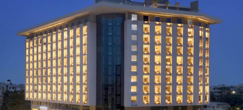 诺富特维加亚瓦达瓦伦酒店(Novotel Vijayawada Varun)图片