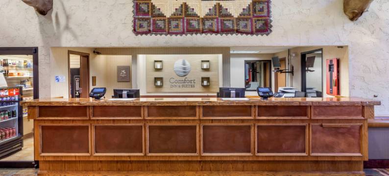 布兰森梅多斯舒适套房酒店(Comfort Inn & Suites Branson Meadows)图片