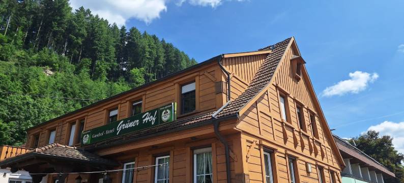 格努讷霍夫酒店(Grüner Hof)图片