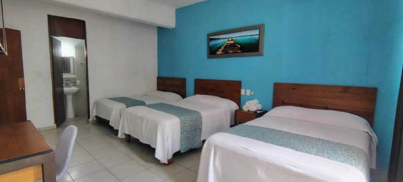 阿卡普尔科爱默酒店(Acapulco Amor)图片