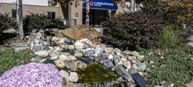 Candlewood Suites 东兰辛(Candlewood Suites EAST LANSING by IHG)图片