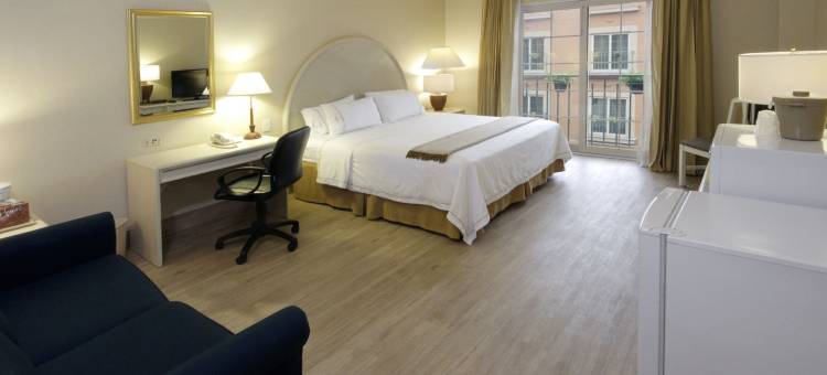 Holiday Inn Express 托雷翁(Holiday Inn Express TORREON by IHG)图片