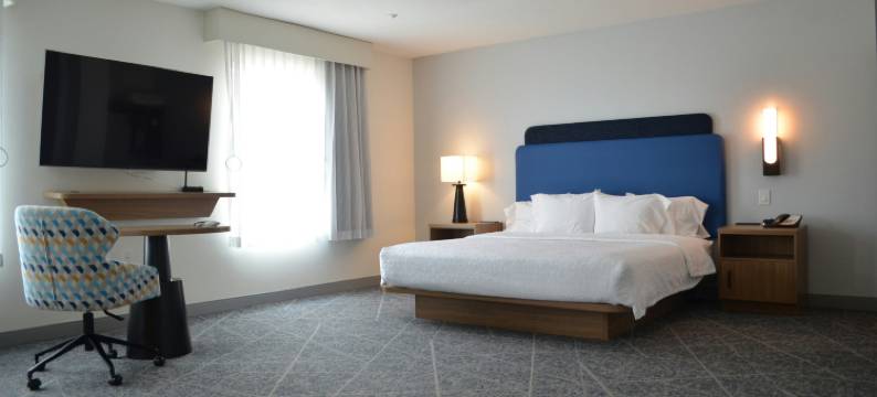 休斯顿西北汤博尔欢朋套房酒店(Hampton Inn & Suites by Hilton Tomball Houston NW)图片