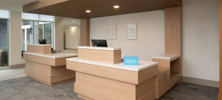 南里士满南方公园希尔顿花园酒店(Hilton Garden Inn Richmond South/Southpark)图片