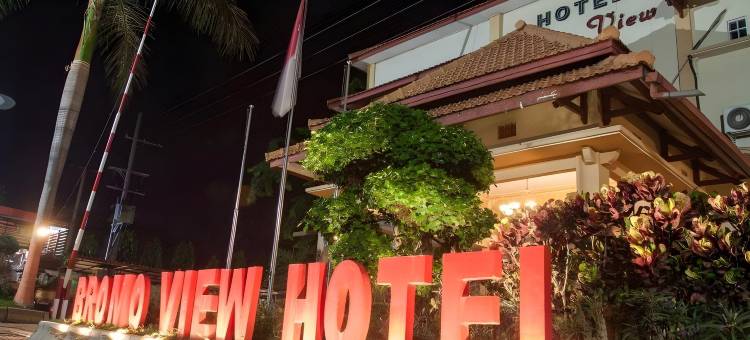 布罗默美景酒店(Bromo View Hotel)图片