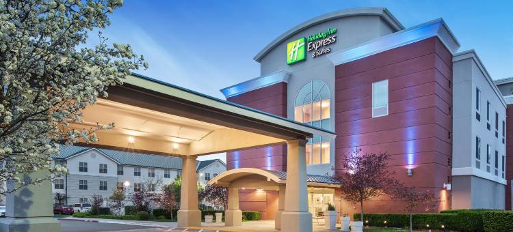 智选假日套房酒店萨克拉门托机场NATOMAS(Holiday Inn Express & Suites SACRAMENTO AIRPORT NATOMAS by IHG)图片