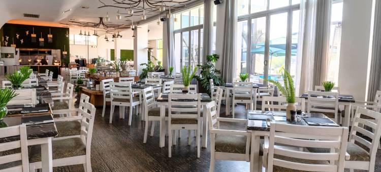 ANEW酒店和会议中心OR Tambo(Anew Hotel & Convention Centre or Tambo Johannesburg)图片