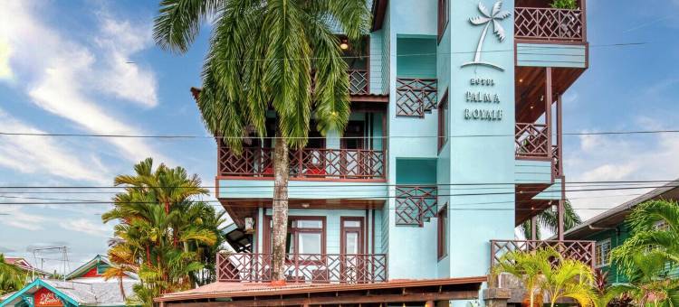 皇家棕榈酒店(Hotel Palma Royale)图片