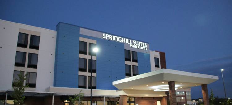 巴尔的摩白沼泽中河SpringHill Suites酒店(SpringHill Suites Baltimore White Marsh/Middle River)图片