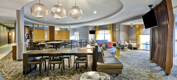SpringHill Suites套房酒店列克星敦肯塔基州大学(SpringHill Suites Lexington Near the University of Kentucky)图片