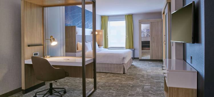 底特律迪尔伯恩SpringHill Suites酒店(SpringHill Suites Detroit Dearborn)图片