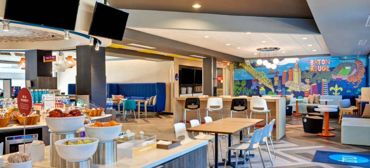 巴吞鲁日希提普莱斯希尔顿Tru酒店(Tru by Hilton Baton Rouge Citiplace)图片