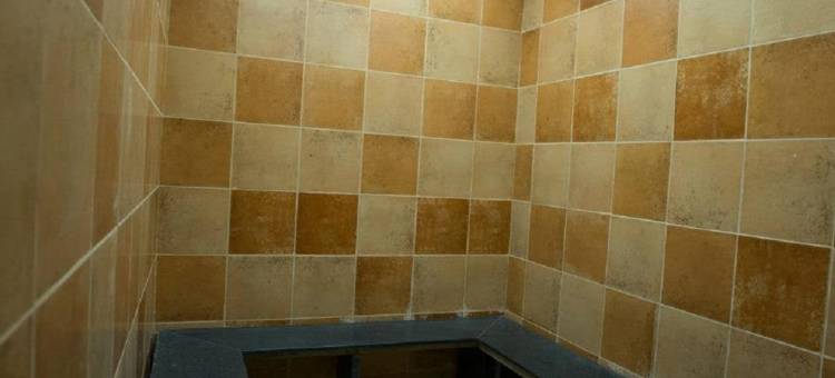 Hotel Balaji Central图片