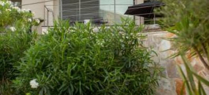 塔拉旅馆酒店(Tara's Lodge Hotel)图片