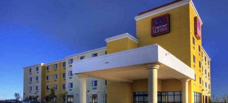 霍布斯舒适全套房酒店(Comfort Suites)图片