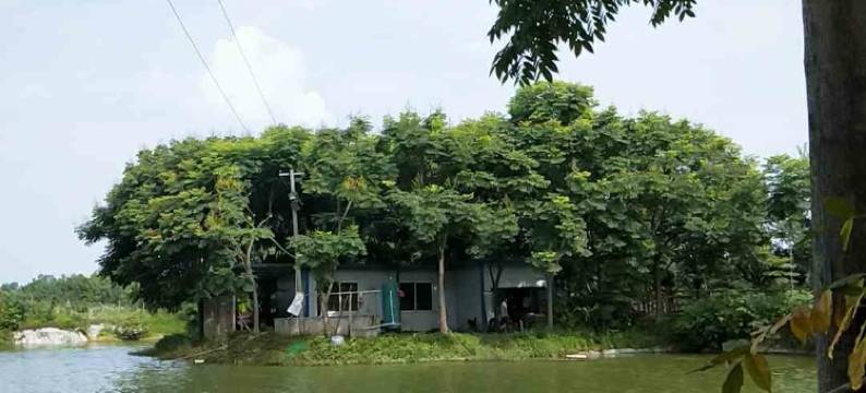 大邑荔城客栈图片