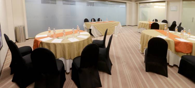 Holiday Inn & Suites 墨西哥城MEDICA SUR(Holiday Inn & Suites Mexico Medica Sur)图片