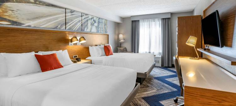 舒适酒店(Comfort Inn)图片