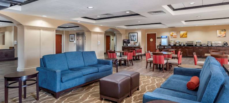 舒适酒店及套房(Comfort Inn & Suites)图片