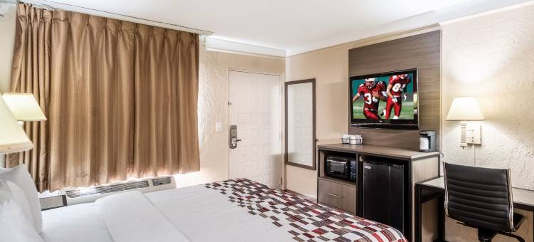 圣彼得堡坦帕湾红顶酒店(Red Roof Inn Tampa Bay - St. Petersburg)图片