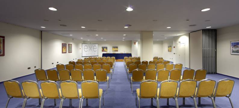 卡图加埃克岛酒店(Exe Isla Cartuja)图片