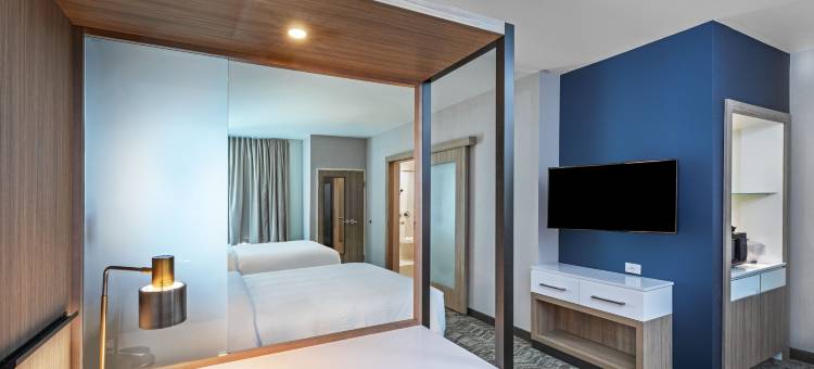 SpringHill Suites 酒店由万豪 Marriort 奥斯汀西部/湖泊(SpringHill Suites Austin West/Lakeway)图片