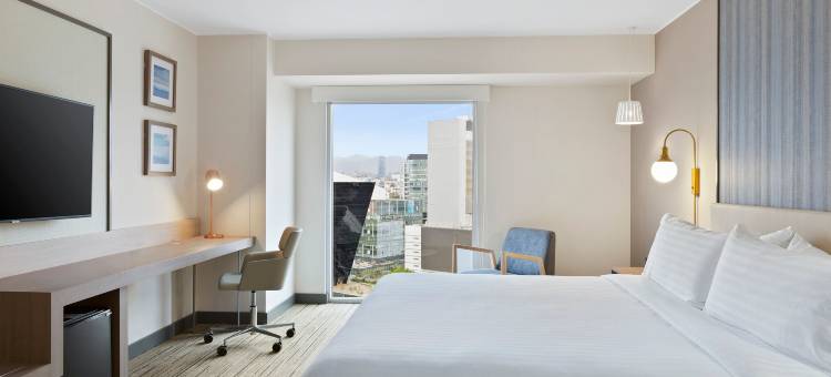 利马圣伊西德罗智选假日酒店(Holiday Inn Express Lima San Isidro)图片