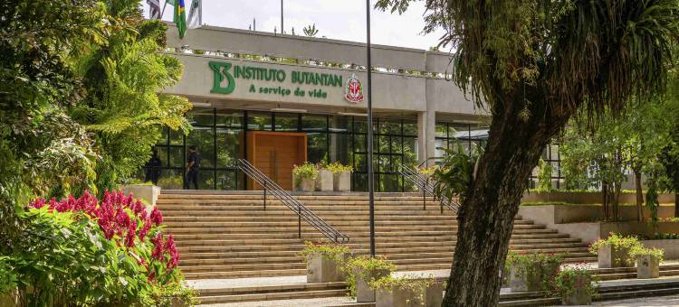 圣保罗法里亚利马宜必思尚品酒店(Ibis Styles SP Faria Lima)图片