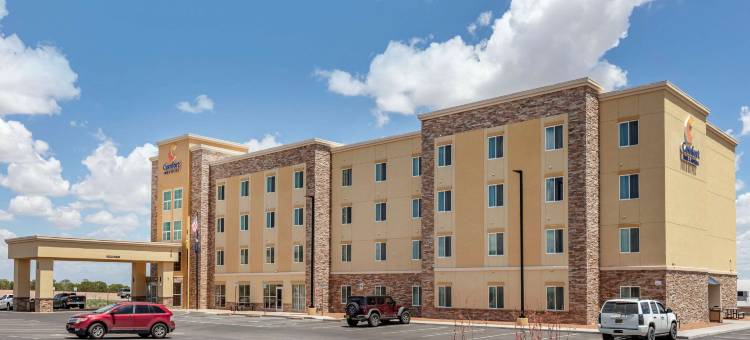 舒适套房酒店(Comfort Inn & Suites)图片