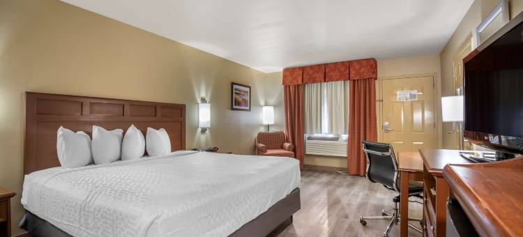 道斯瑞欧贝斯特韦斯特优质酒店(Best Western Dos Rios)图片