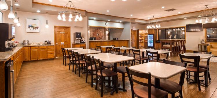 布法罗岭贝斯特韦斯特酒店(Best Western Buffalo Ridge Inn)图片