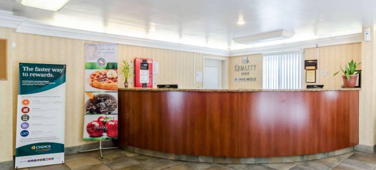 奇科皮-斯普林菲尔德品质酒店(Quality Inn Chicopee-Springfield)图片