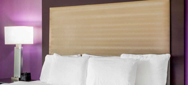 迈克艾伦会议中心拉昆塔温德姆套房酒店(La Quinta Inn & Suites by Wyndham McAllen Convention Center)图片