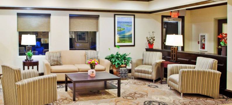 舒适酒店(Comfort Inn)图片