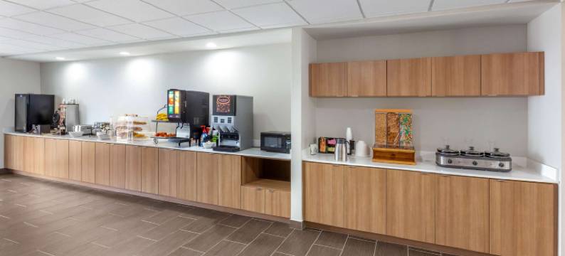 克利奇站麦客达温德姆套房酒店(Microtel Inn & Suites by Wyndham College Station)图片