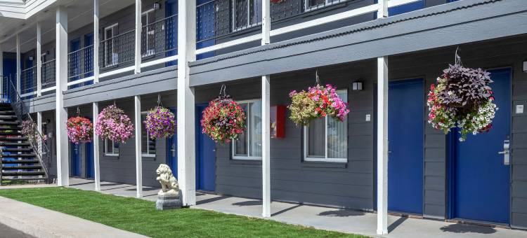 罗德威套房酒店(Rodeway Inn & Suites)图片