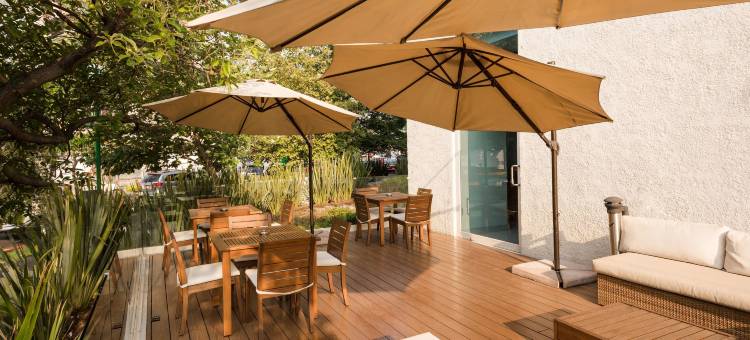 瓜达拉哈拉/博览会希尔顿欢朋酒店(Hampton Inn by Hilton Guadalajara/Expo)图片