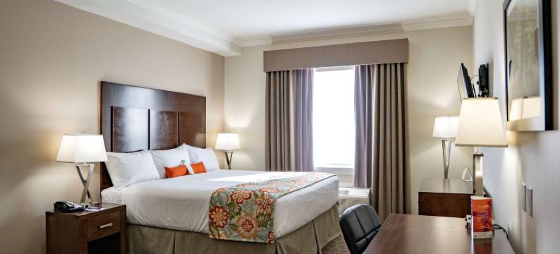 奥利弗海岸酒店(Coast Oliver Hotel)图片