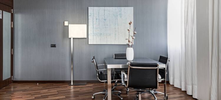 布尔戈斯AC酒店(AC Hotel Burgos)图片