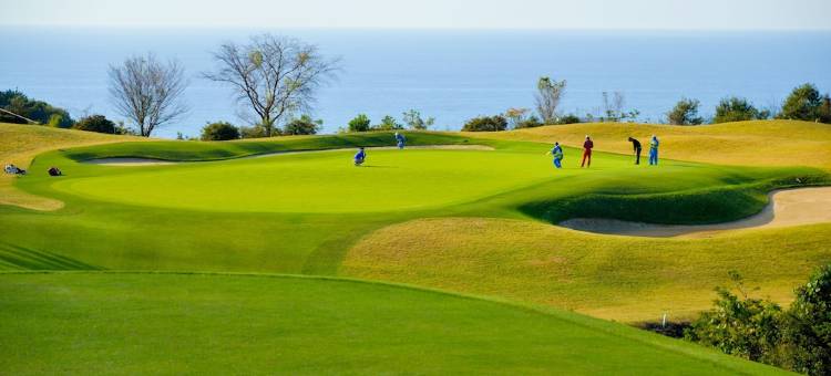 高知土佐美居温泉度假酒店(Mercure Kochi Tosa Resort & Spa)图片