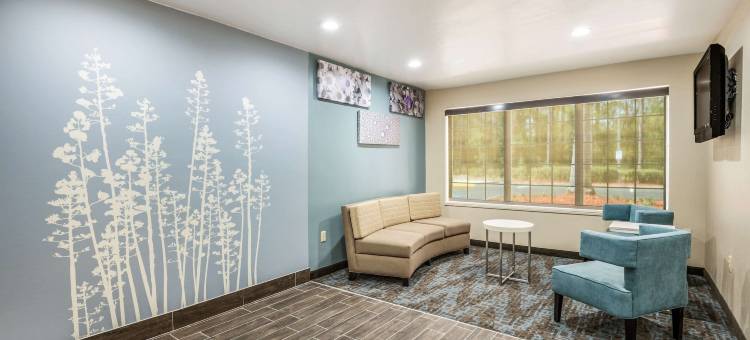 塔拉哈西-国会大厦舒眠套房酒店(Sleep Inn & Suites Tallahassee-Capitol)图片