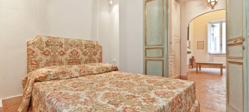 旧长椅露台罗马出租屋酒店(Banchi Vecchi Terrace)图片