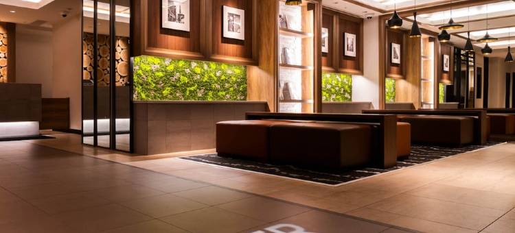 银座超级酒店Premier 天然温泉 奥汤河原之汤(Super Hotel Premier Ginza)图片