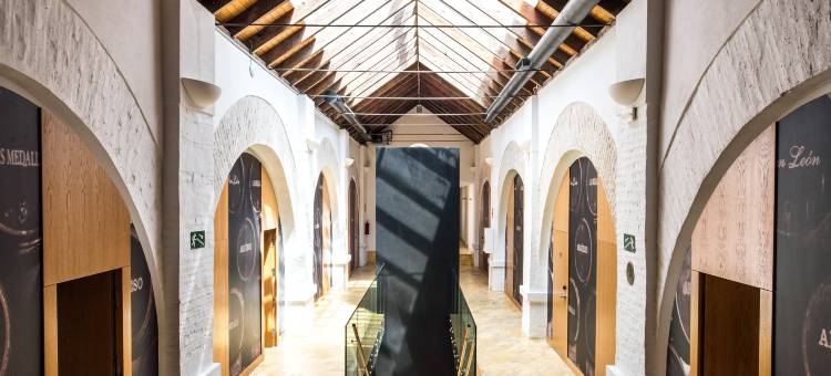 欧洲之心亚利松侯爵宫(Hotel Palacio Marqués de Arizón)图片